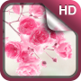 icon Pink Flowers Live Wallpaper