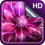 icon Luminous Flower Live Wallpaper