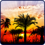 icon Sunset HD Live Wallpaper