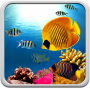 icon Coral Reef Live Wallpaper