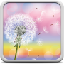 icon Dandelion Live Wallpaper