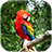 icon Parrot Live Wallpaper 6.1