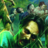 icon DEAD PLAGUE 1.2.7