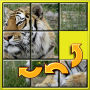 icon Kids Animal Slide Puzzles