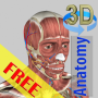 icon 3D Bones and Organs (Anatomy)