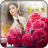 icon Rose Flower HD Photo Frames 3.0