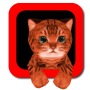 icon Cat Simulator 3D