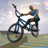 icon BMX FE3D 1.84