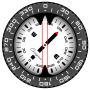 icon Compass PRO for Nokia 5