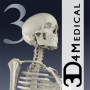 icon Essential Skeleton 3