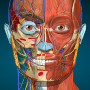 icon Anatomy Learning - 3D Anatomy for qmobile Noir Z12