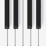 icon Mini Piano Lite