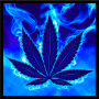 icon Blue Weed Rasta Keyboard