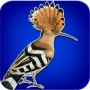 icon هدهد for HomTom HT37