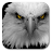 icon Eagle 1.3