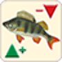 icon Fishing forecast