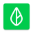 icon Branch 2025.4.2