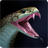 icon Snake Wallpapers 1.0.snake
