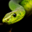 icon Snake Wallpapers 1.0.0