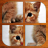 icon Baby Animals Puzzle 4.0.1