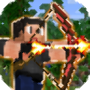 icon Survival Games Block Island for Samsung Droid Charge I510