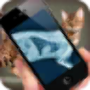 icon Simulation XRay Cat for Samsung Galaxy S8