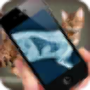 icon Simulation XRay Cat for Samsung Galaxy Note 2