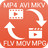 icon Video Converter 3.0