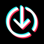 icon Downloader for TikTok for Fly Cirrus 11