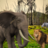 icon Elephant Attack Simulator 1.9