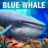 icon Blue Whale Simulator 1.2.0