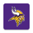 icon Vikings 24.1.4