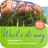 icon Weil i di mog 2.8.1