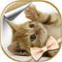 icon Cute Cats Live Wallpaper