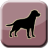 icon Dogs 1.1