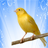 icon Chant Canaris 2.4.1