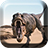 icon Dinosaurs Live Wallpaper 1.10