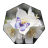 icon White Flowers 1.2