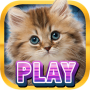 icon Casino Kitty Slot Machines