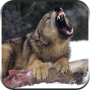 icon Wolf Hunting Sniper Shooter Game