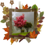 icon Autumn Photo Frames