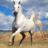 icon Horse Jigsaw Puzzles 2.11.00