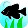 icon Fishing Traveler for Noa H9