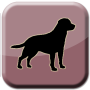 icon Dogs
