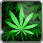 icon My Ganja Wallpaper