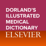 icon Dorland