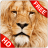 icon Animal Sounds 13.8