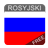 icon Rosyjski 9.0.11