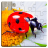 icon Insect Puzzles 35.0