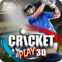 icon Cricket Play 3D